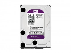 HDD WD 1TB WD10EVRX Purple Surveillance